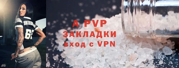 гашик Арсеньев