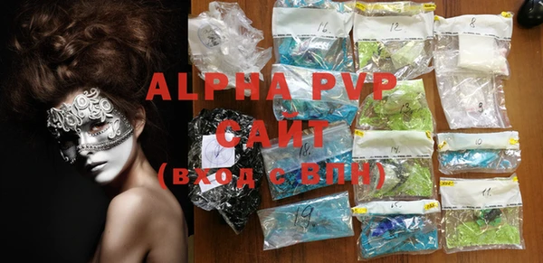 гашик Арсеньев