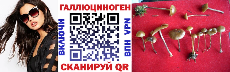 Галлюциногенные грибы ЛСД  Семёнов 